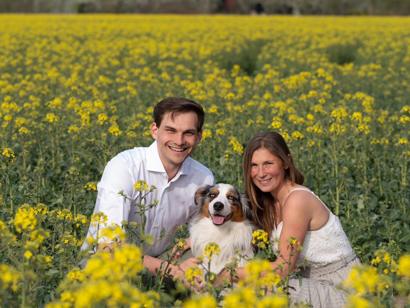 Hundefoto aus einem Shooting in Münster, Motiv 4