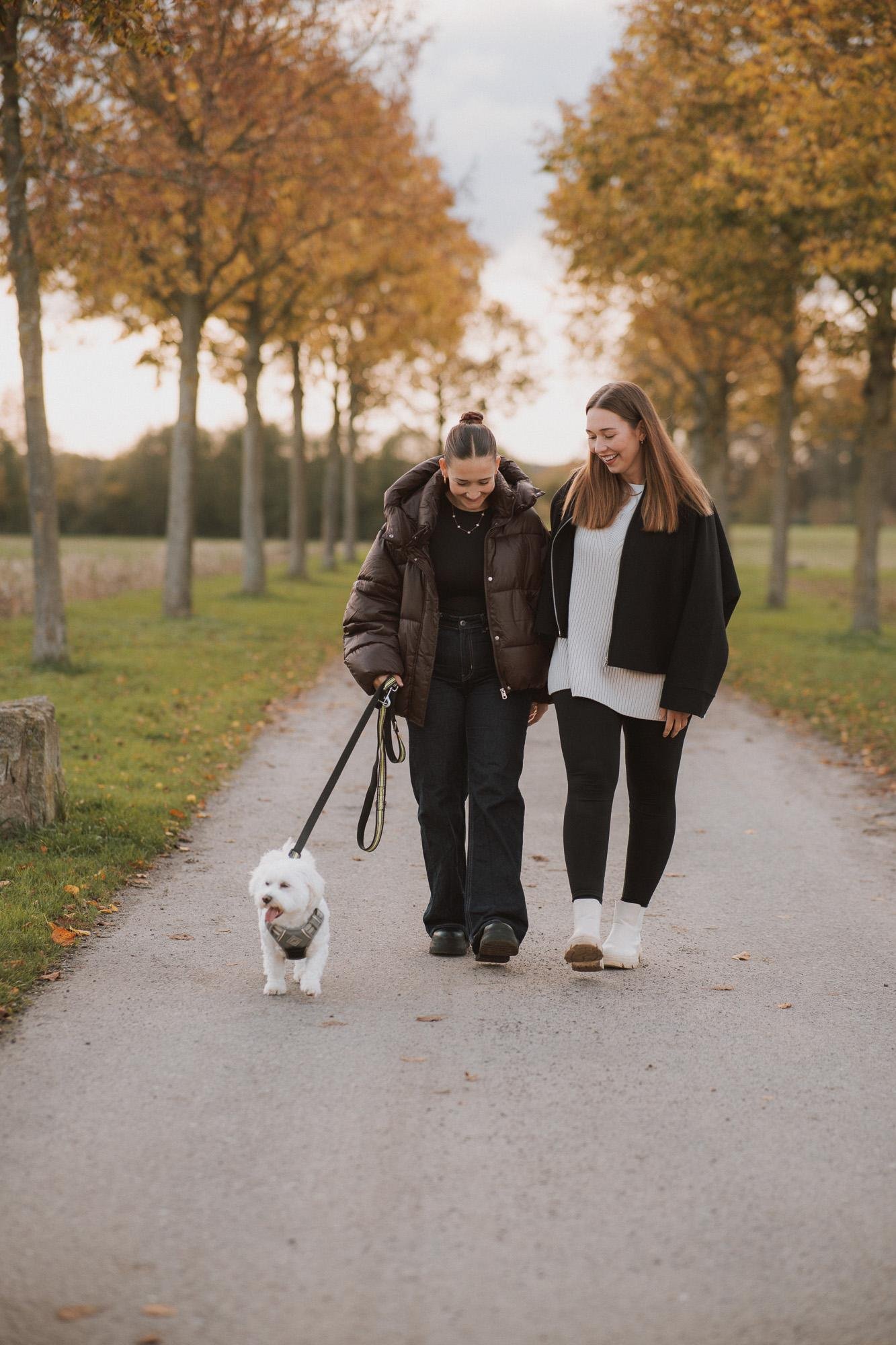 Hundefoto aus einem Shooting in Münster, Motiv 2