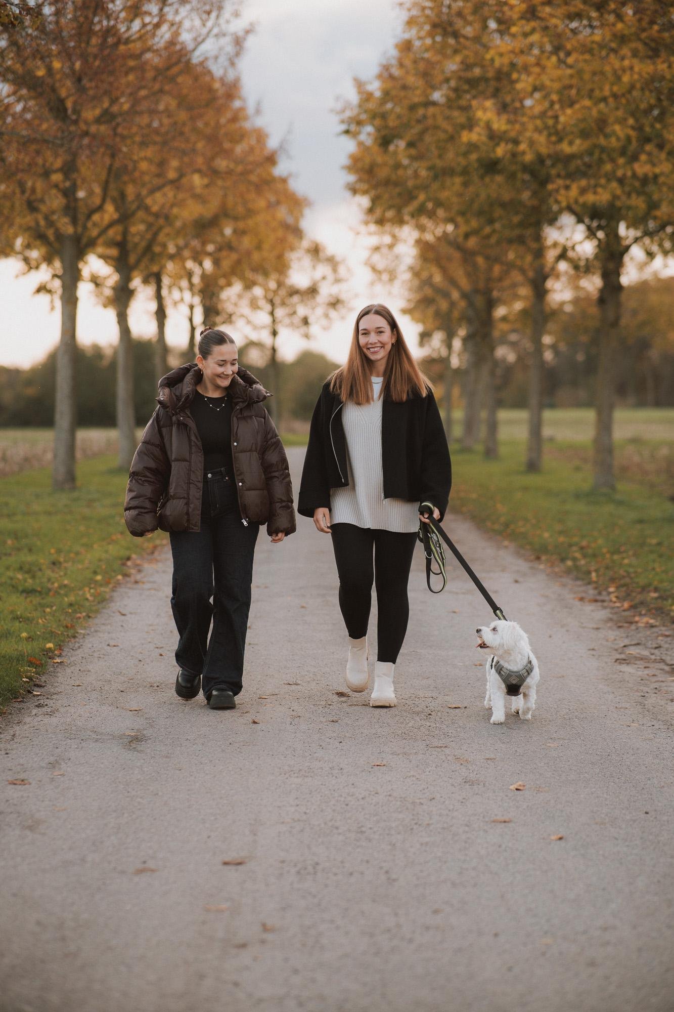 Hundefotograf in Münster begleitet Hund und Halter bei einem entspannten Spaziergang am Aasee