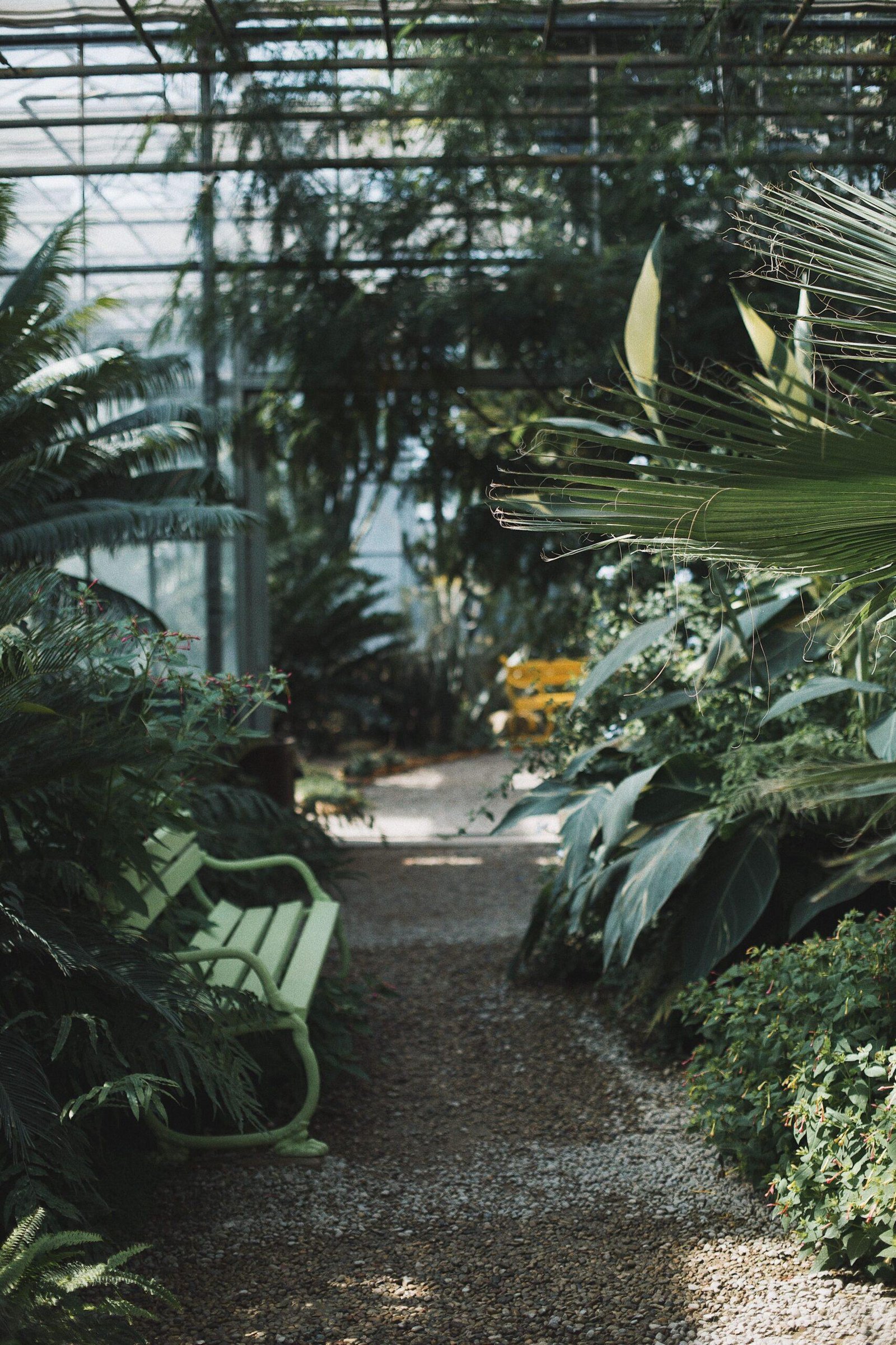 Botanischer Garten Münster